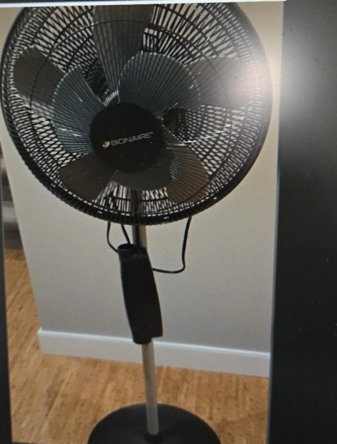 Standing Fan