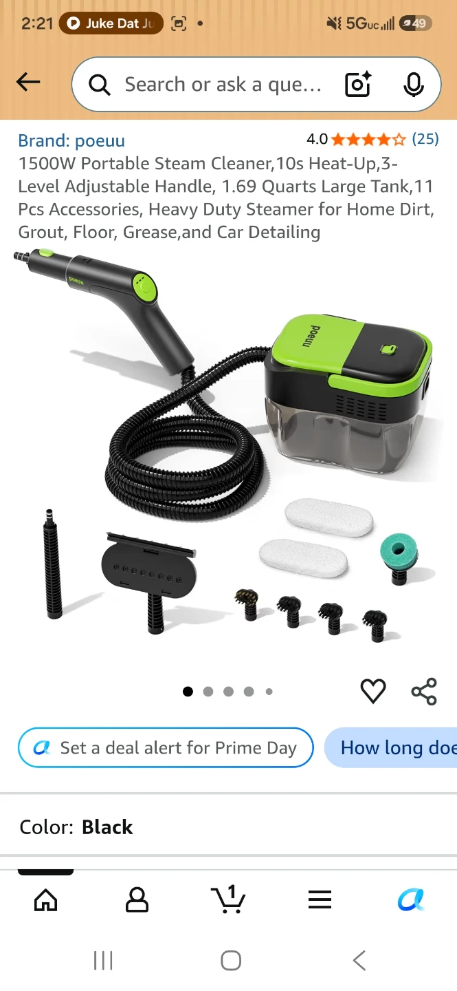 POEU Portable 1500W Steam Cleaner - Black