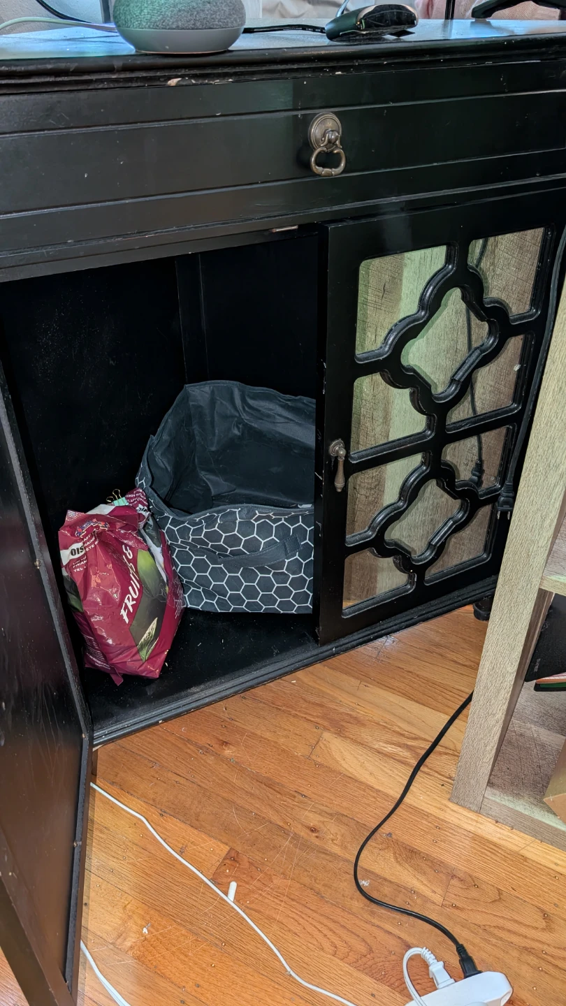 Black Two-Door Cabinet with Decorative Glass Panels - photo 4