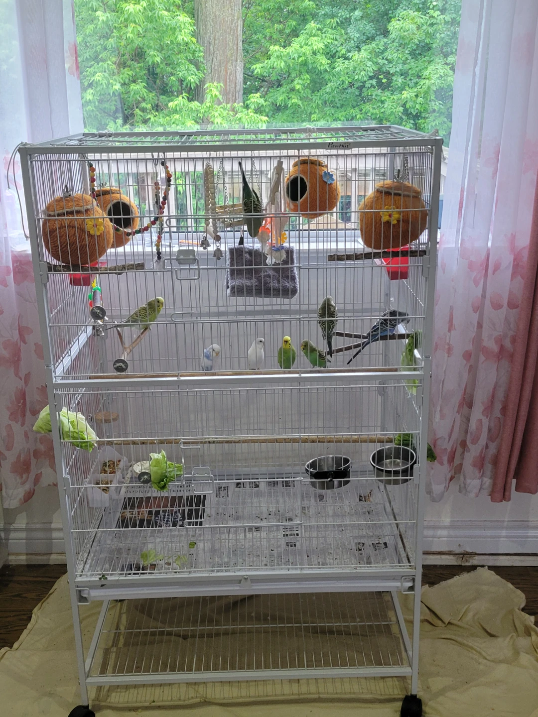 Large Bird Cage with Accessories and Seed - photo 2
