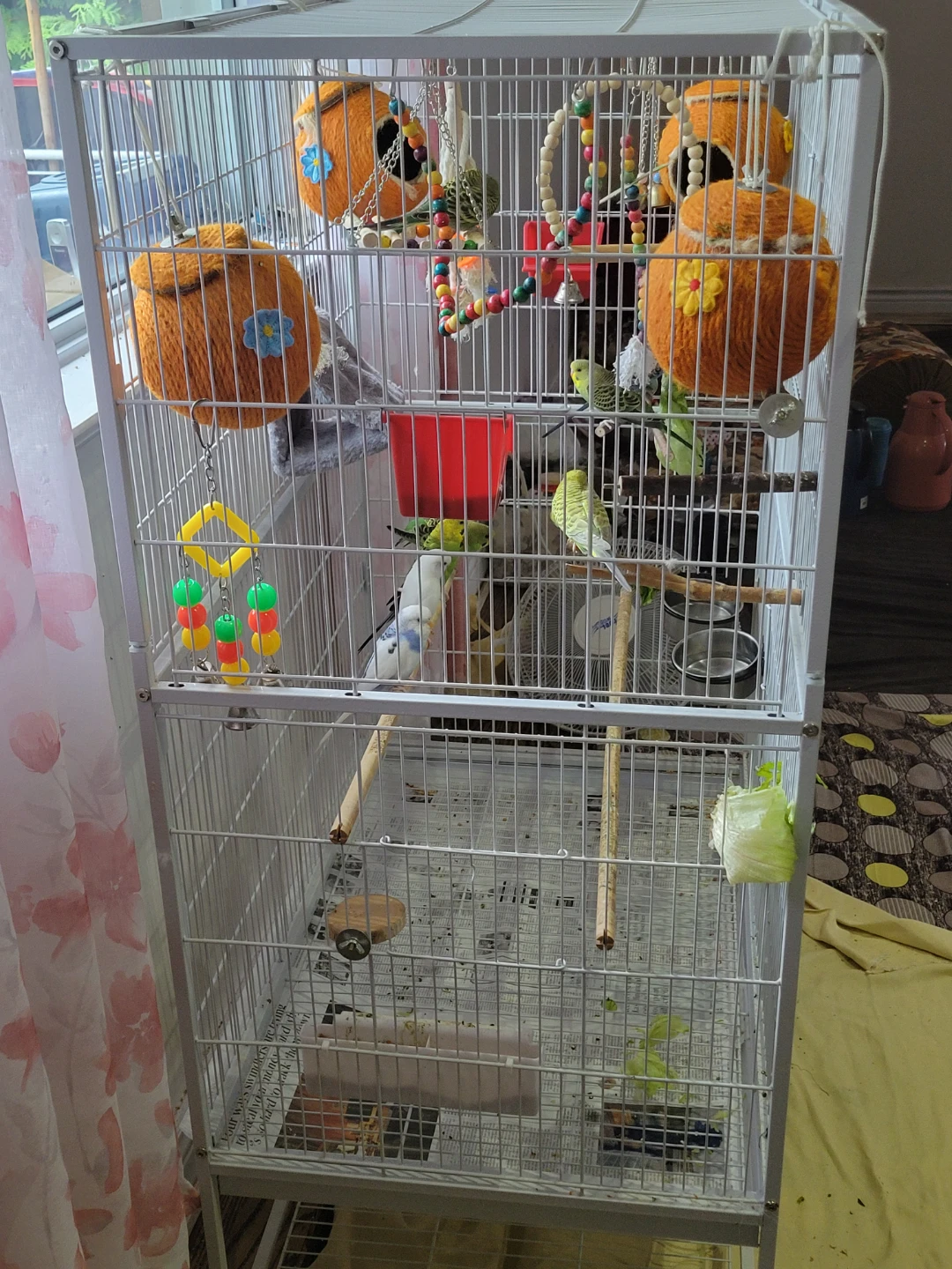 Large Bird Cage with Accessories and Seed - photo 4