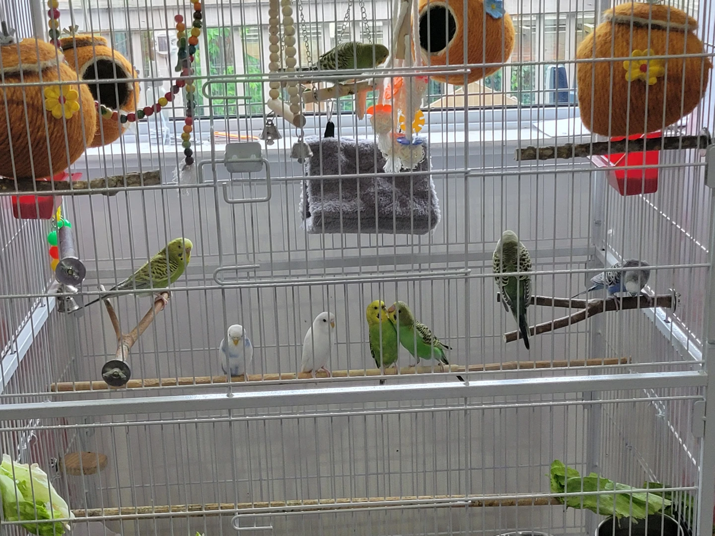 Large Bird Cage with Accessories and Seed - photo 5