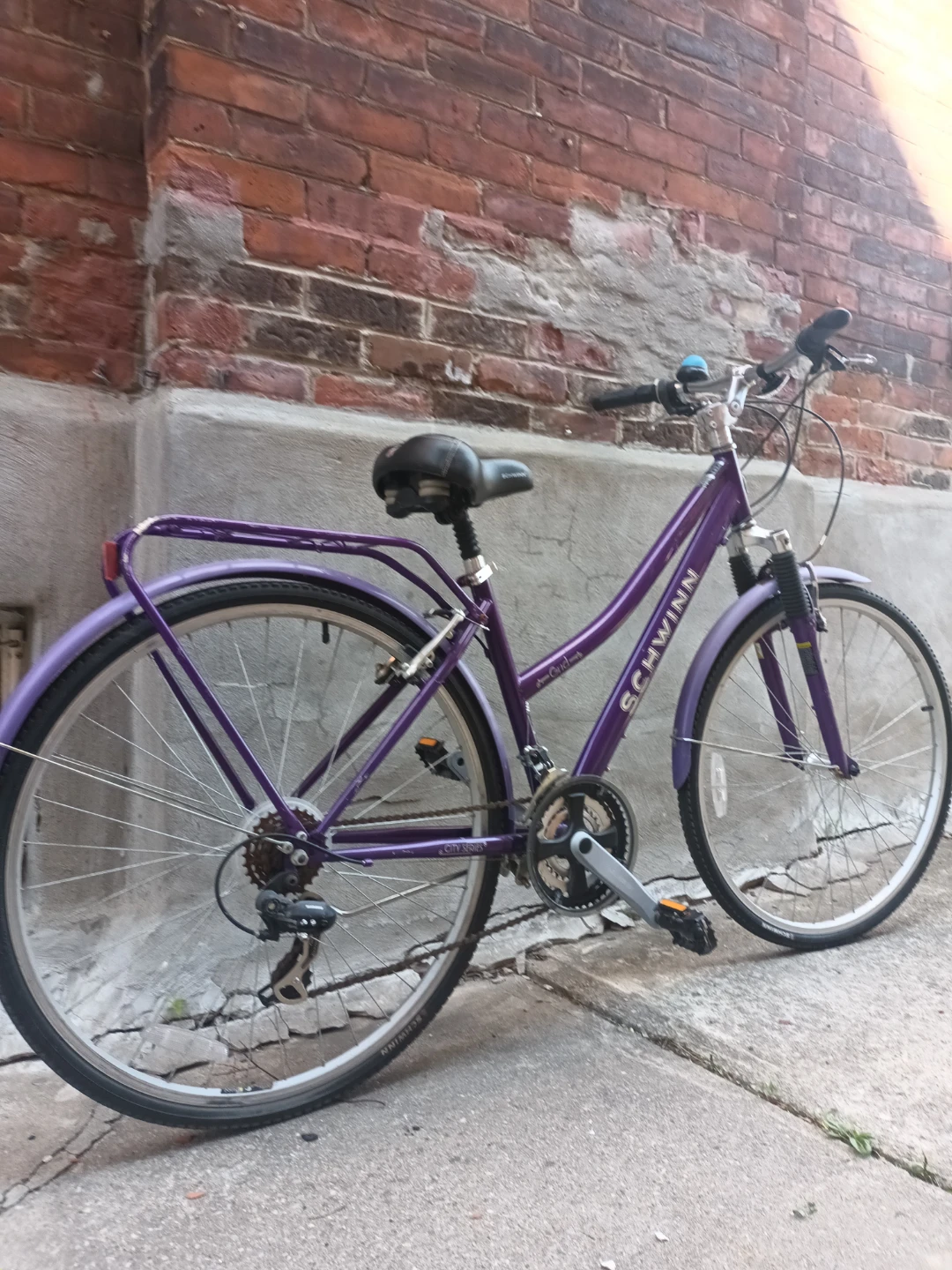 Schwinn Bike - photo 4