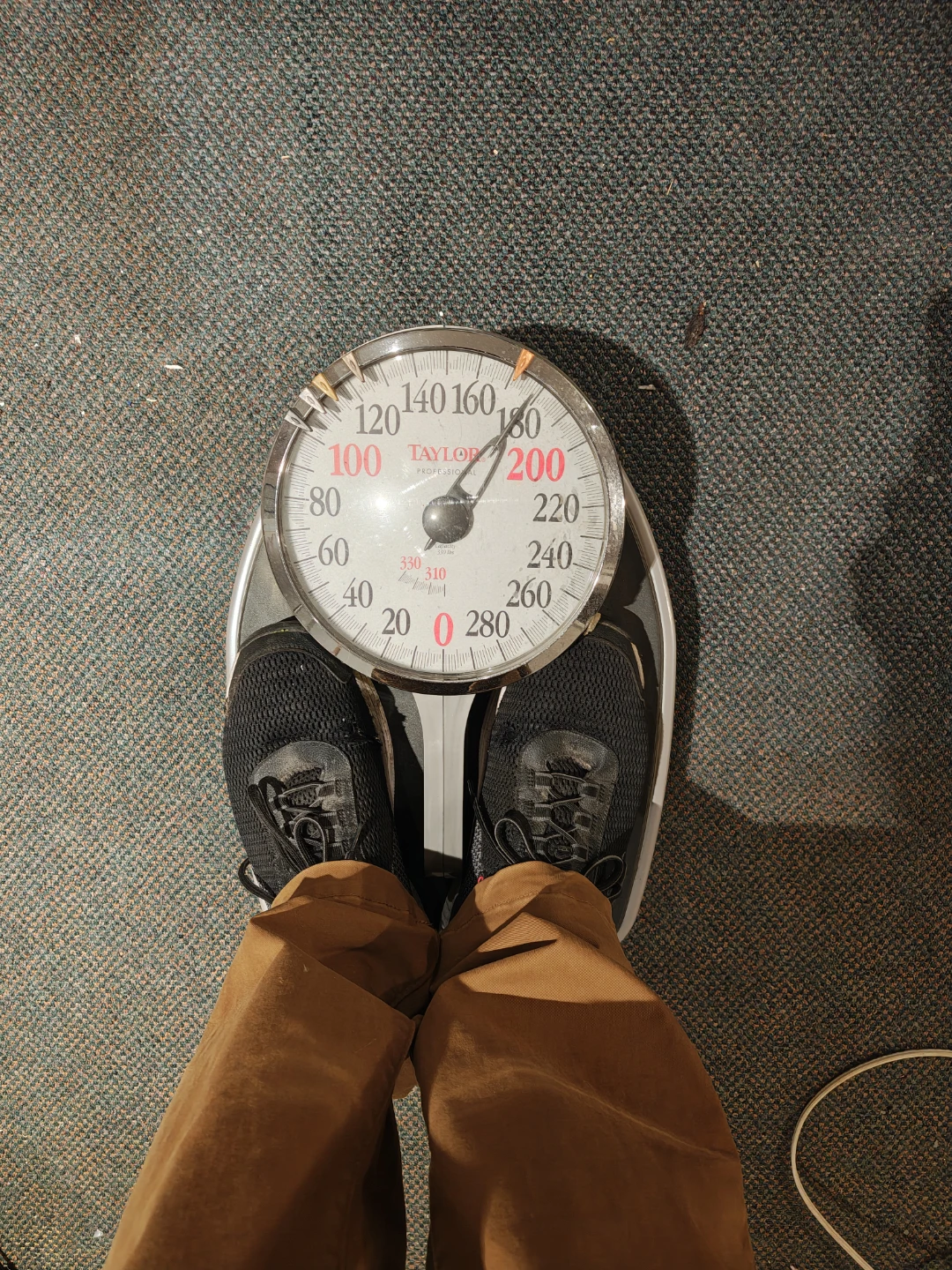Taylor Professional Analog Body Scale