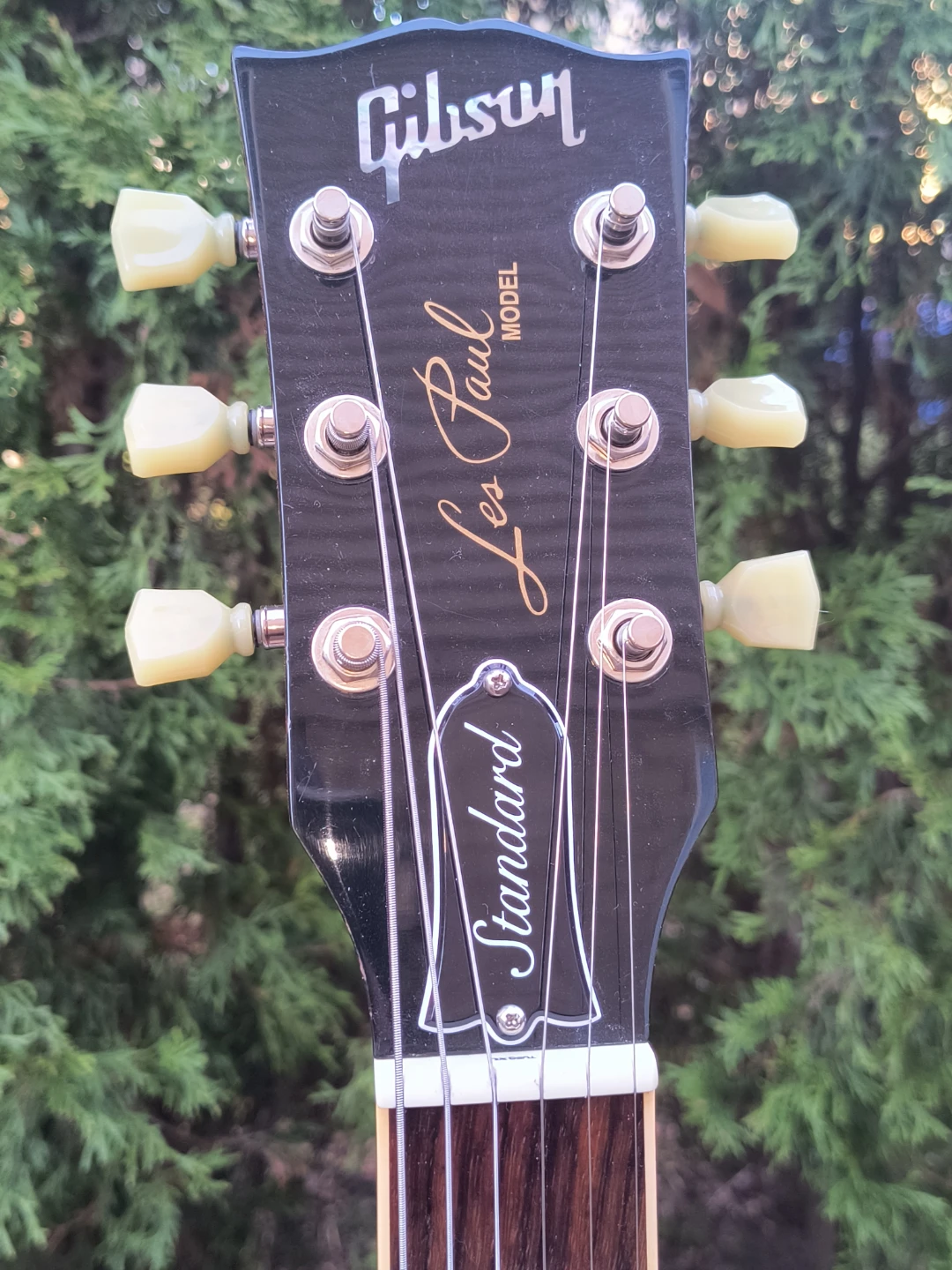 Gibson Les Paul Standard Electric Guitar - photo 5