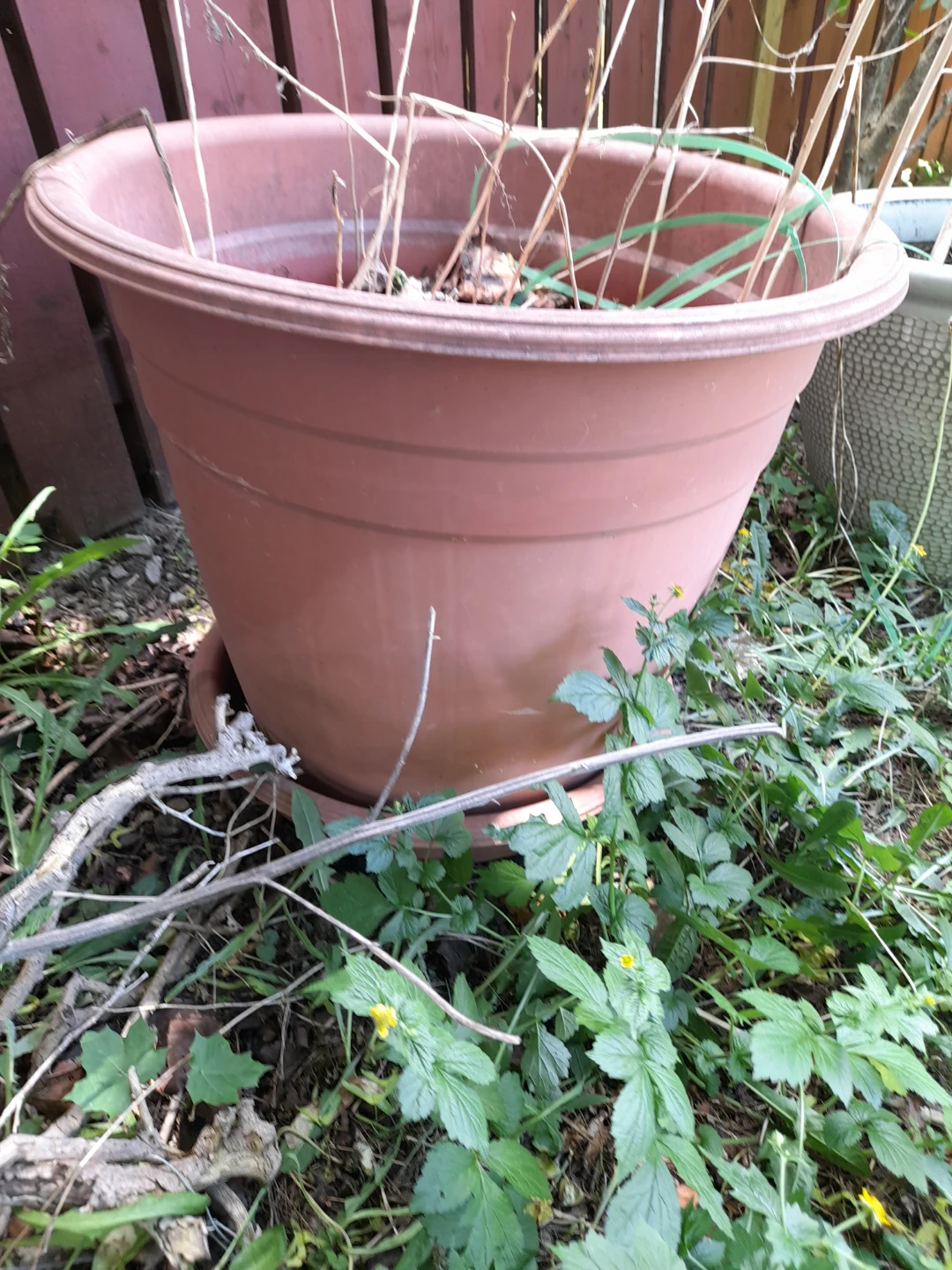 Large Brown Planter Pot with Saucer - photo 2