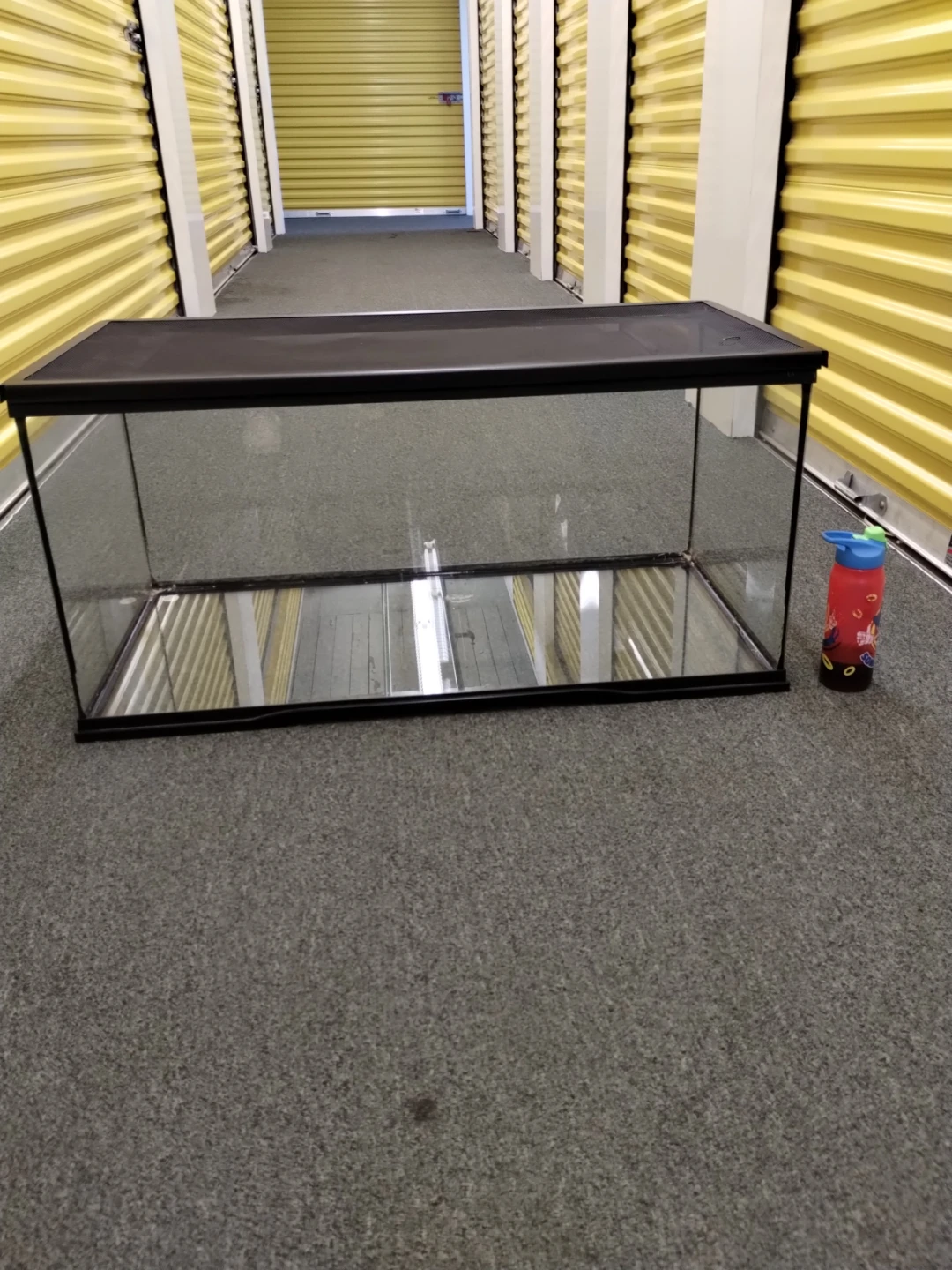Glass Aquarium Tank