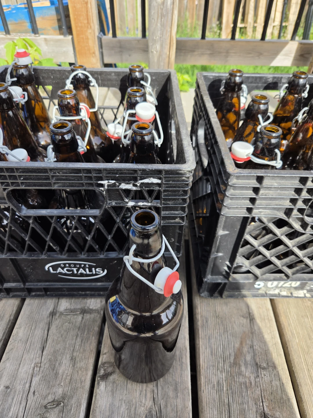 Brown Swing Top Bottles (Pack of 19)