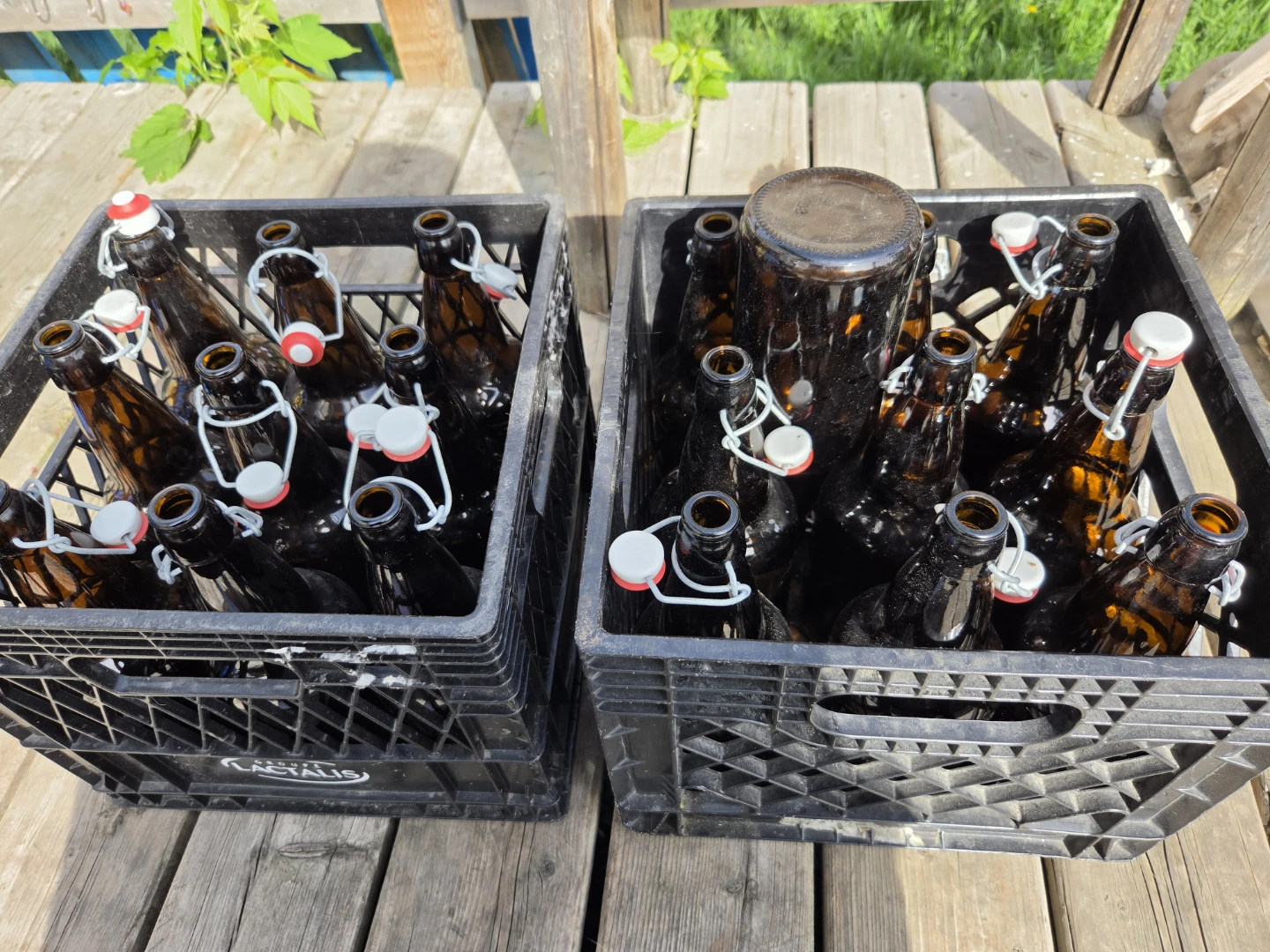 Brown Swing Top Bottles (Pack of 19) - photo 3