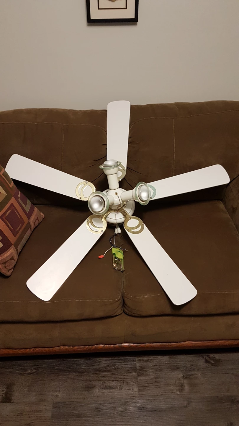 White Ceiling Fan with Lights