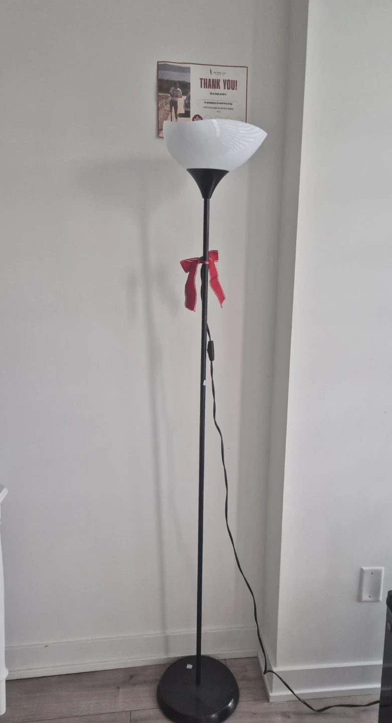 Black Floor Lamp with White Shade