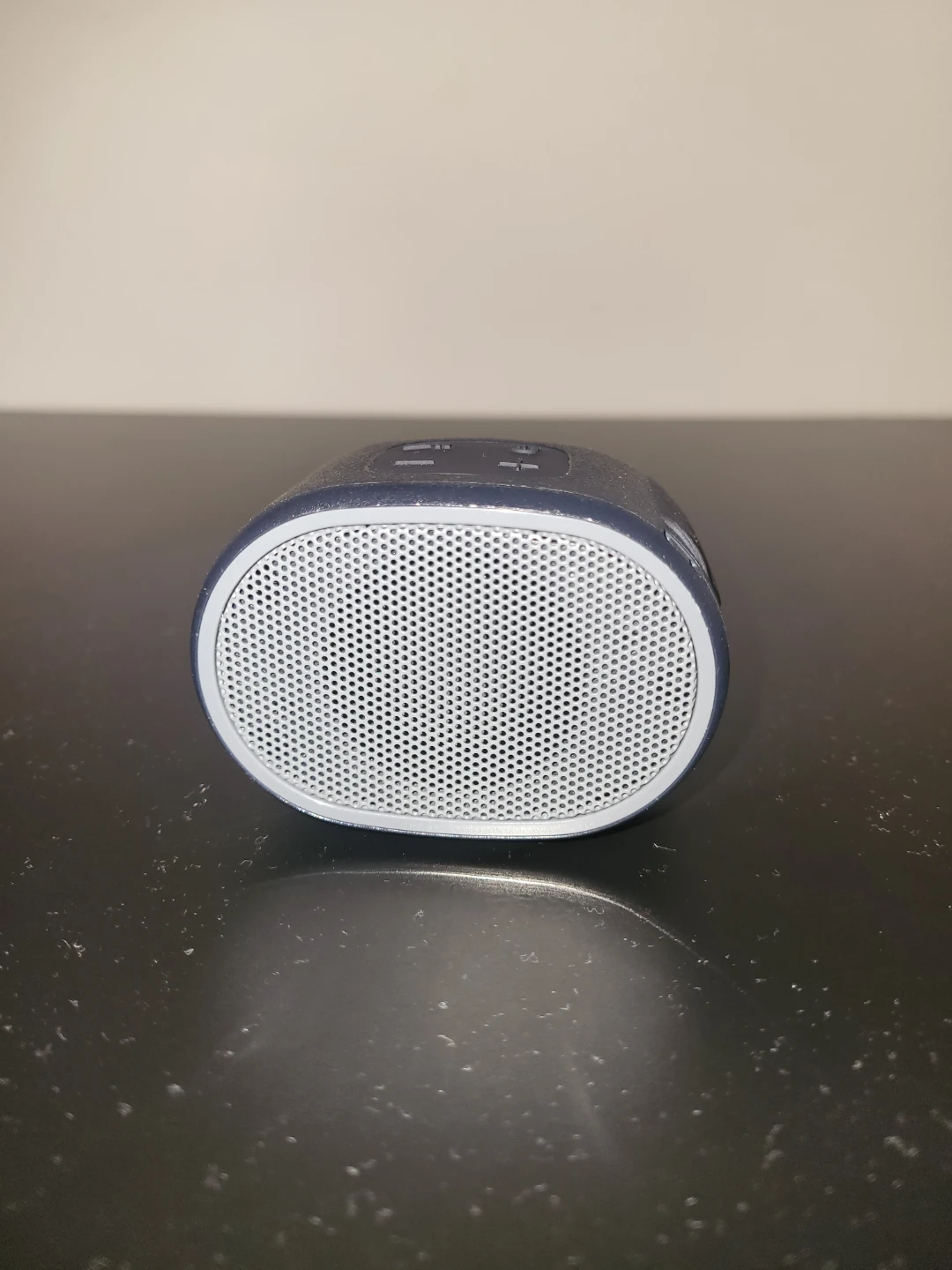 Sony Portable Bluetooth Speaker