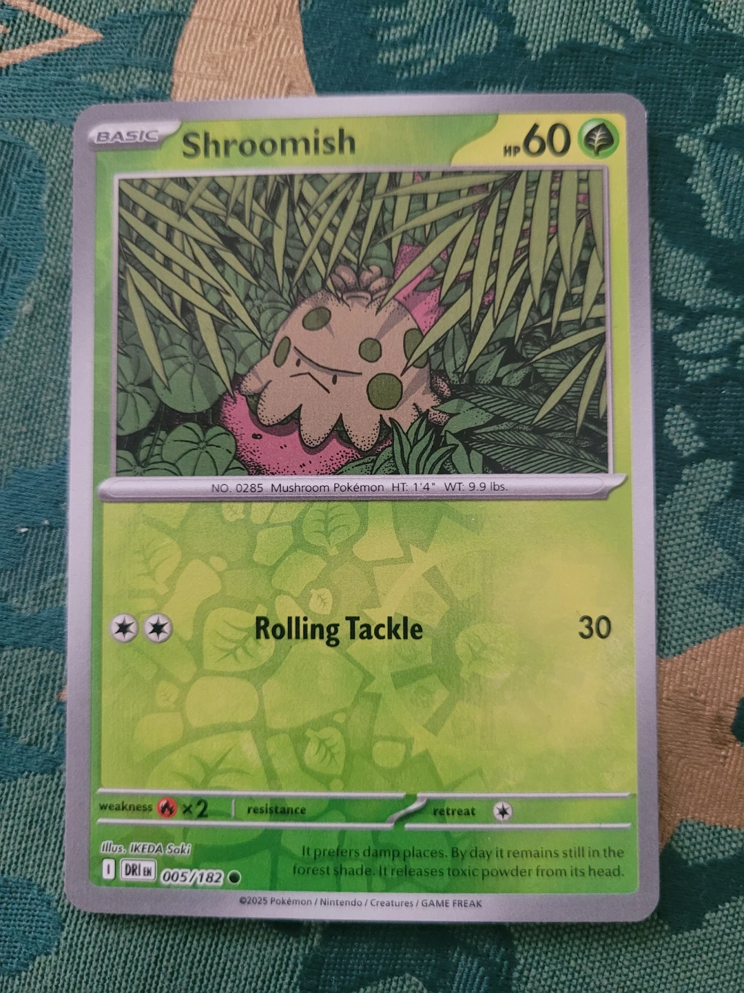 Pokemon Shroomish Reverse Holo Card ⚽