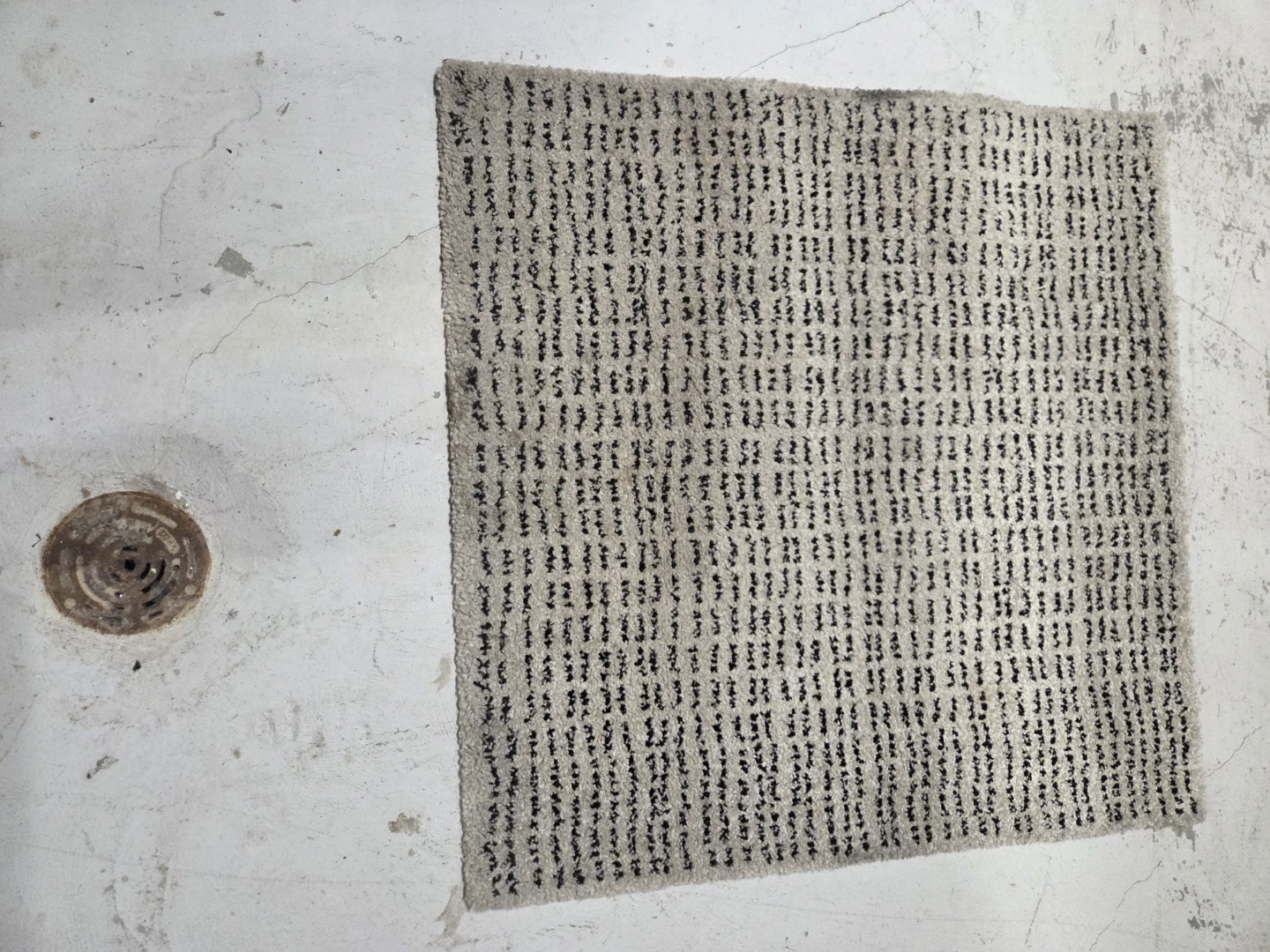 Area Rug
