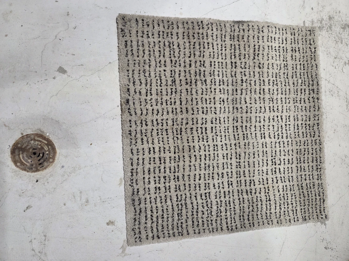 Area Rug - photo 2