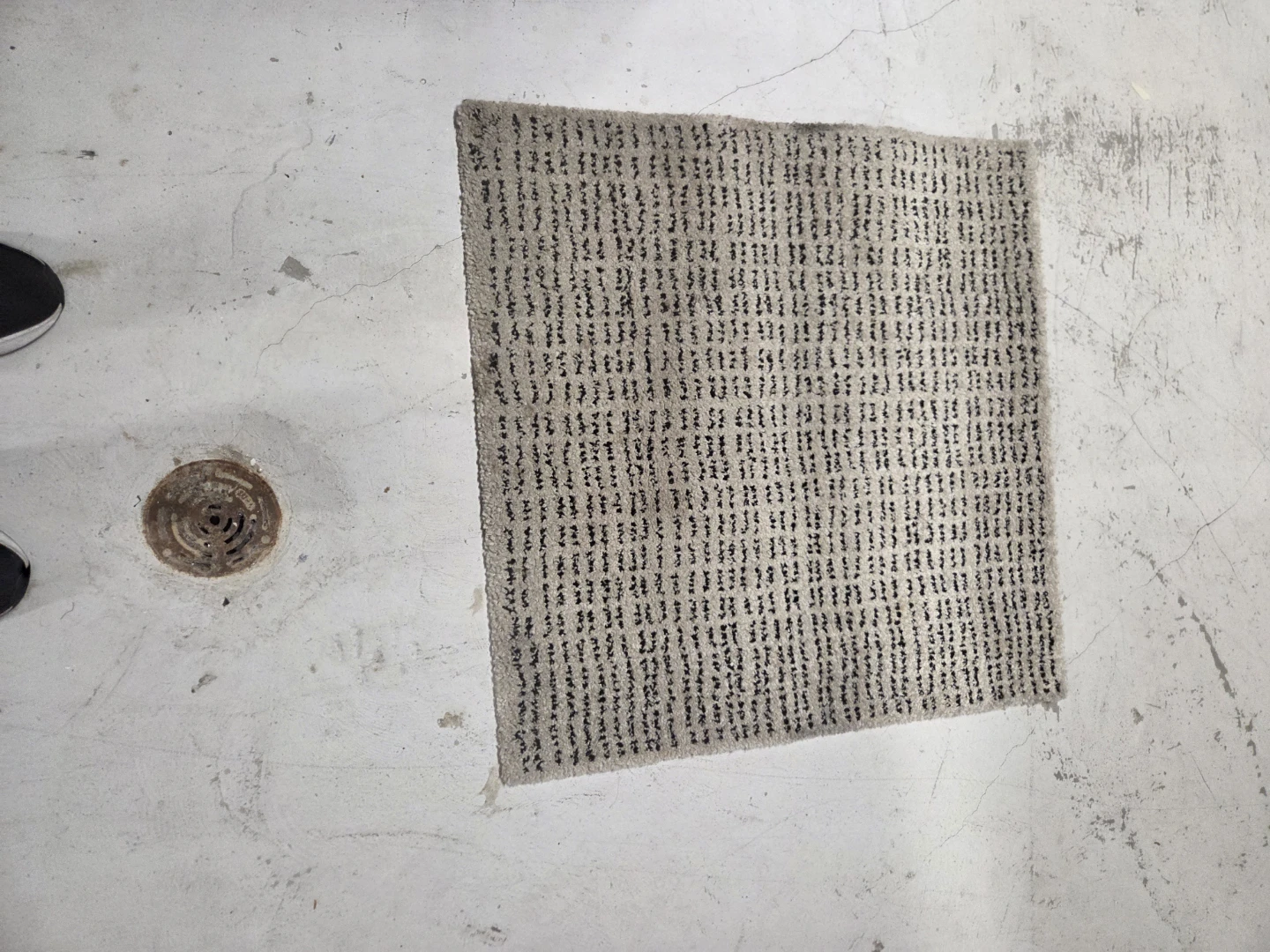 Area Rug - photo 4