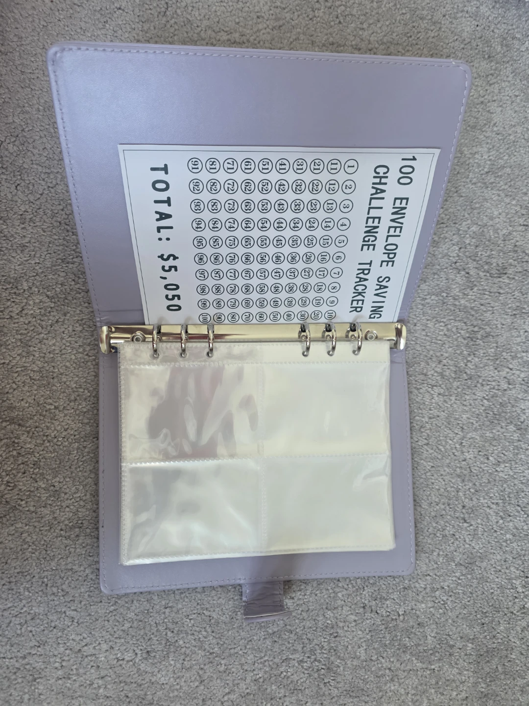 100 Envelope Savings Challenge Binder - photo 2