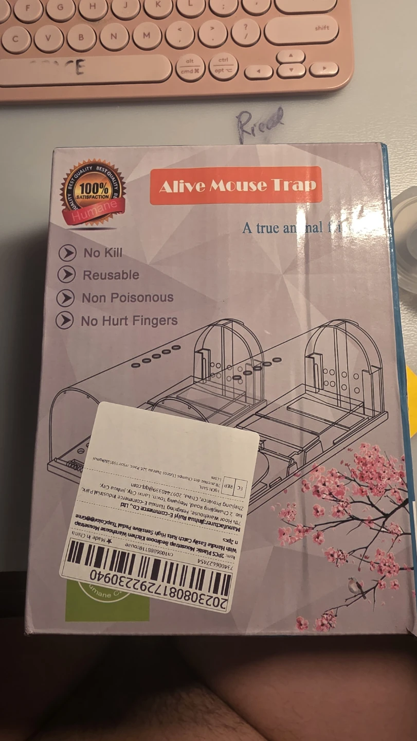 Friendly Mouse trap