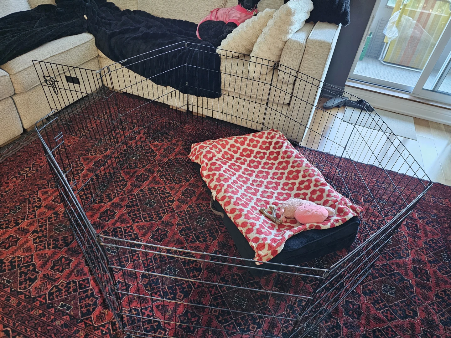 Pets Folding Metal Exercise Pen