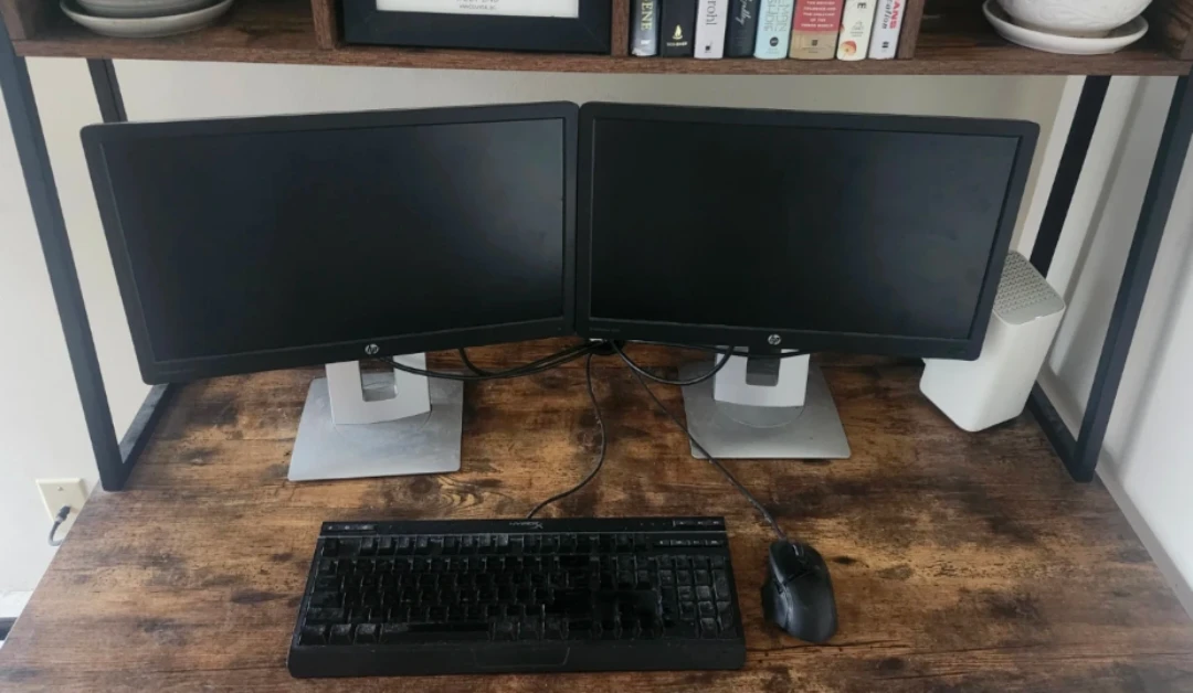 Two HP 20" LCD Displays