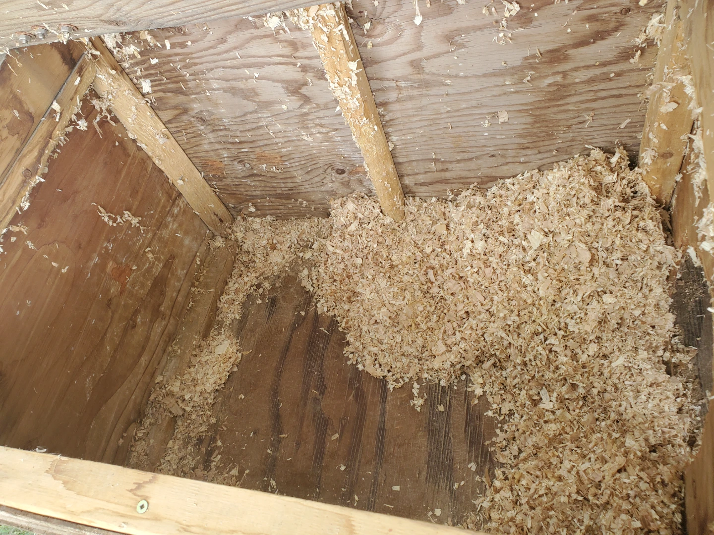 Rabbit hutch - photo 5