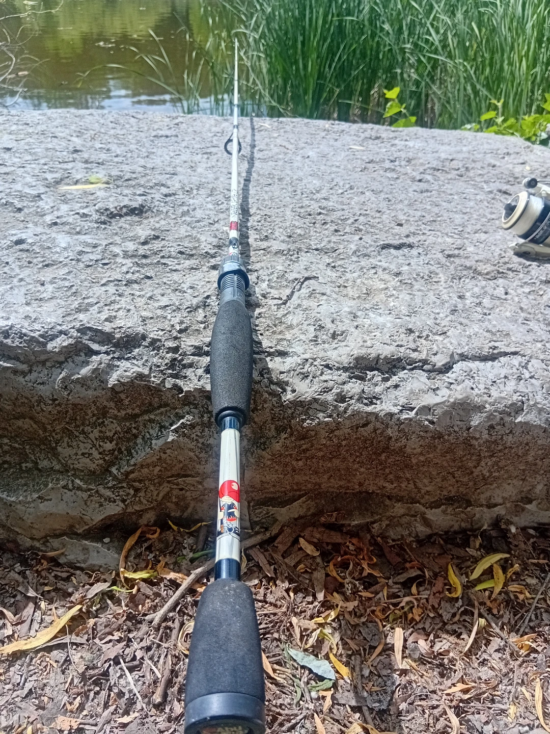 Abu Garcia Fishing Rod - photo 4