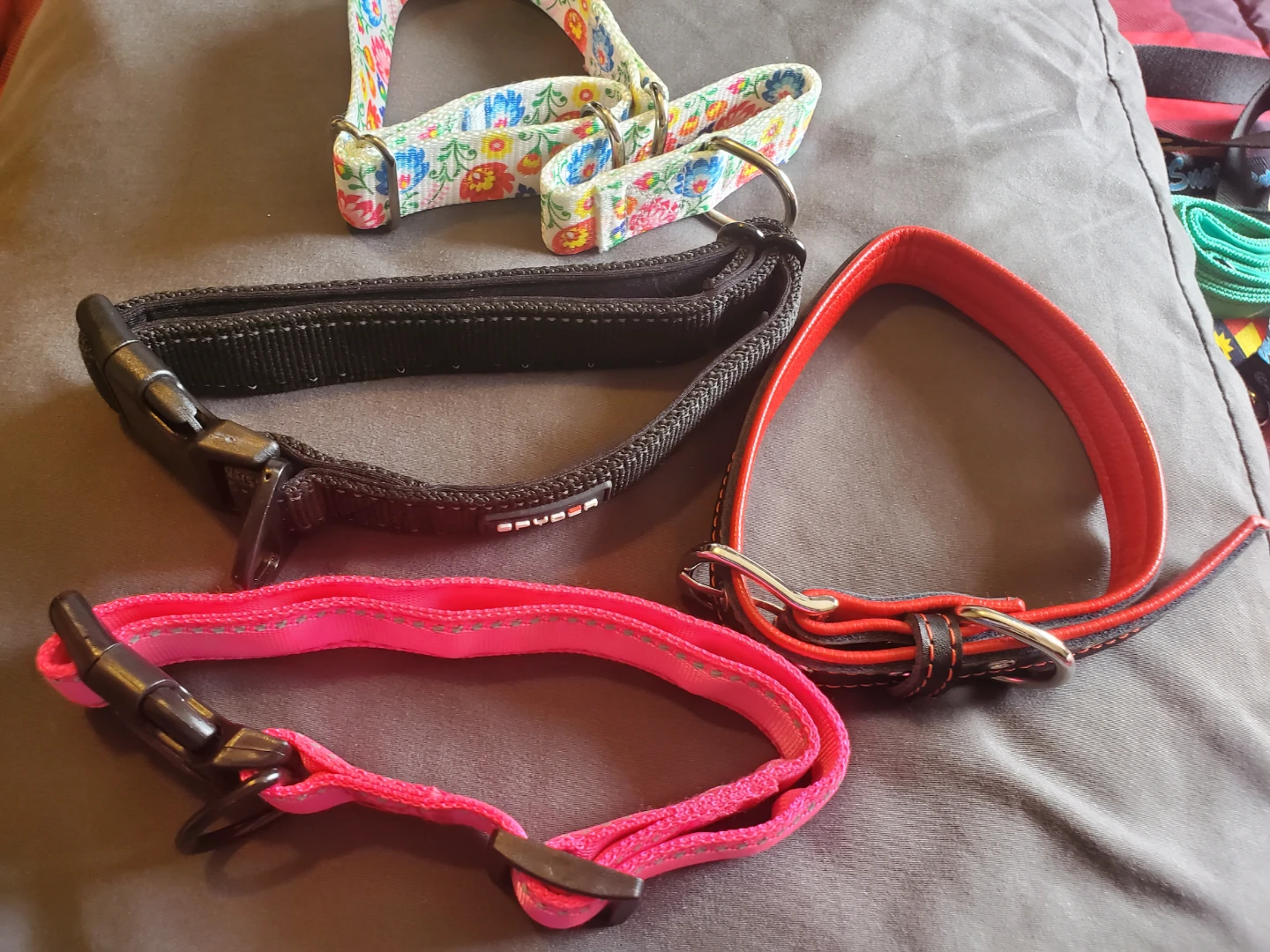 4 Dog Collars & 3 Leashes HIGH QUALITY BRAND NAMES.