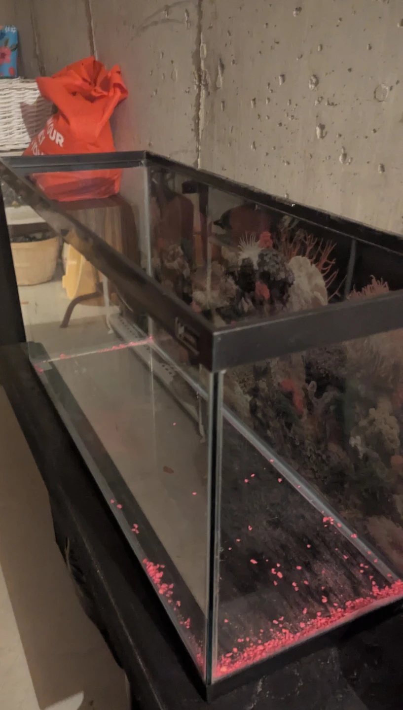 Aquarium Tank 34 Gallon 36L x 12W x 18H