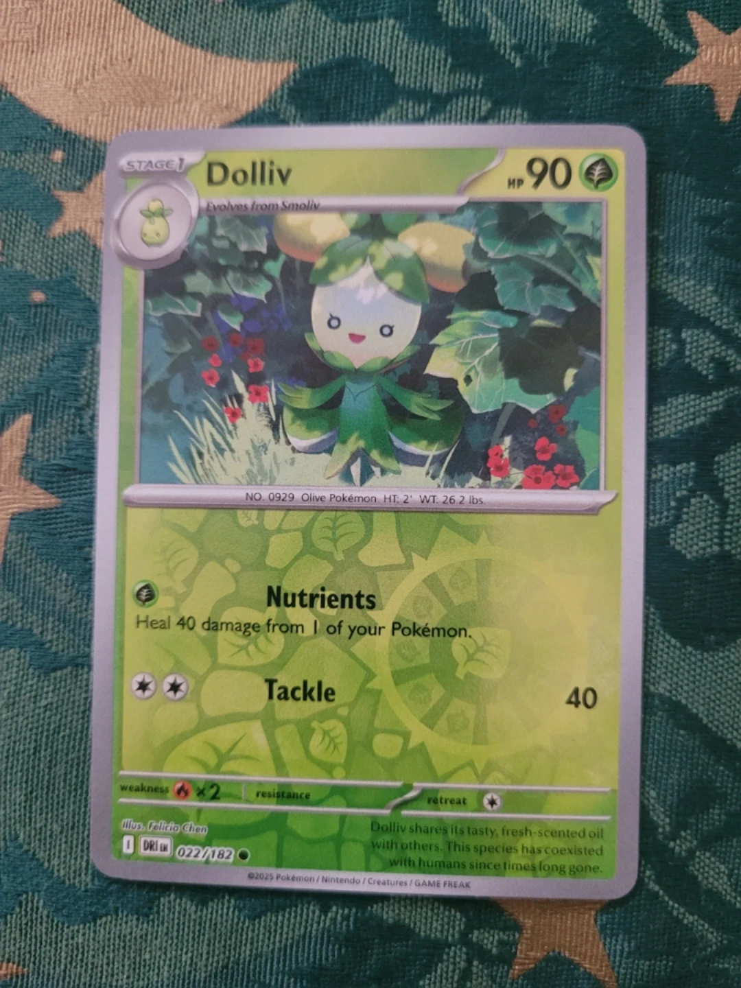 Pokemon Dolliv Reverse Holo Card ⚽