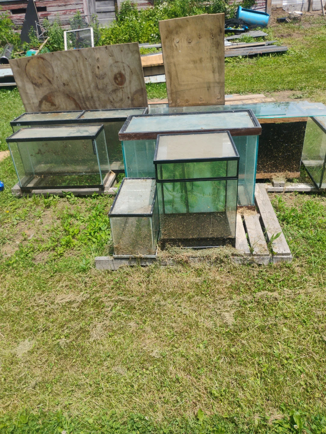 Assorted Glass Terrariums/Aquariums - photo 3