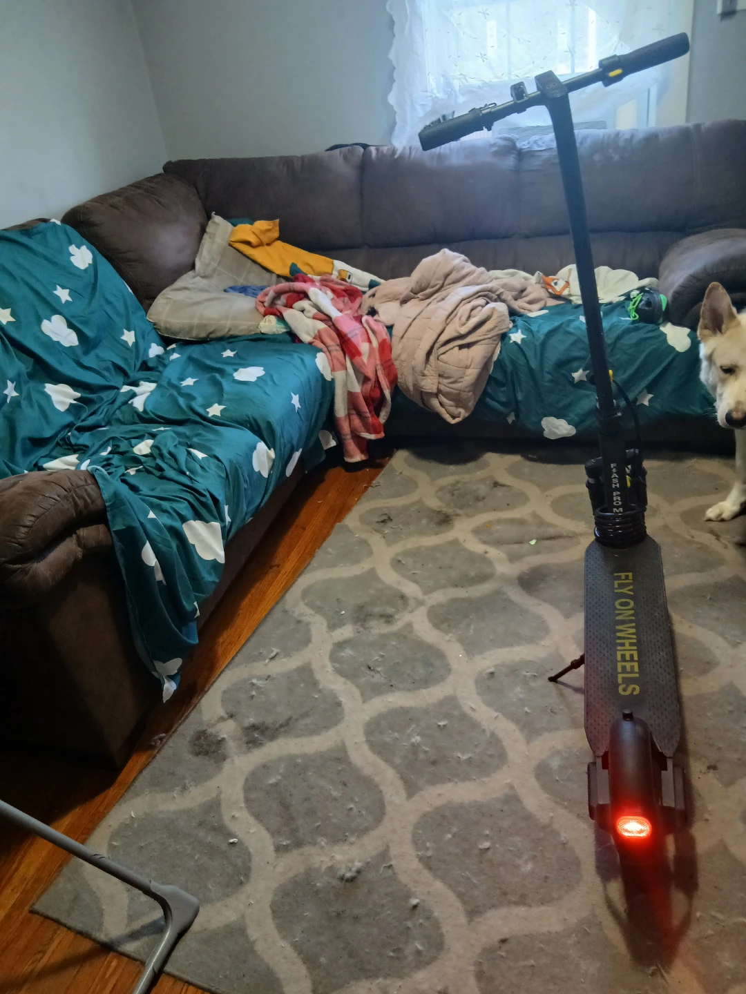Gyrocopters Flash Pro Max Electric Scooter - photo 4
