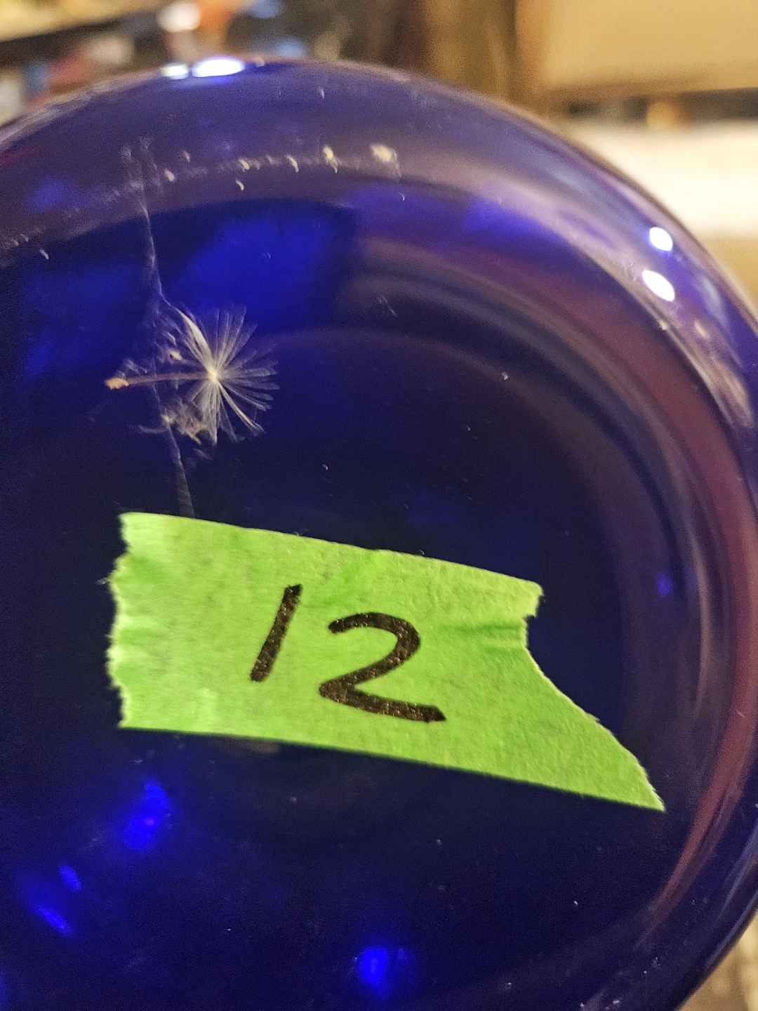 Blue Glass Vase - photo 4