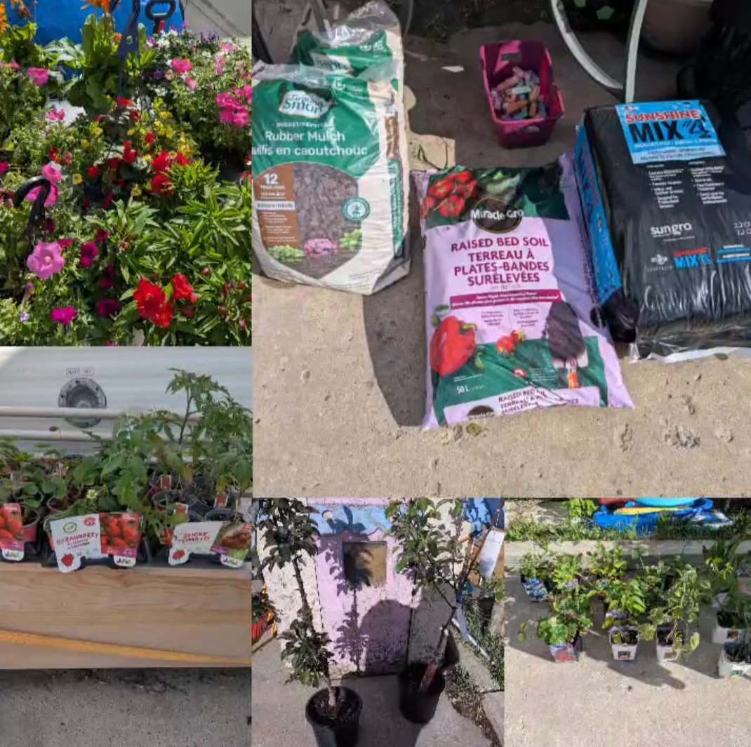 Assorted Potted Plants and Garden Supplies