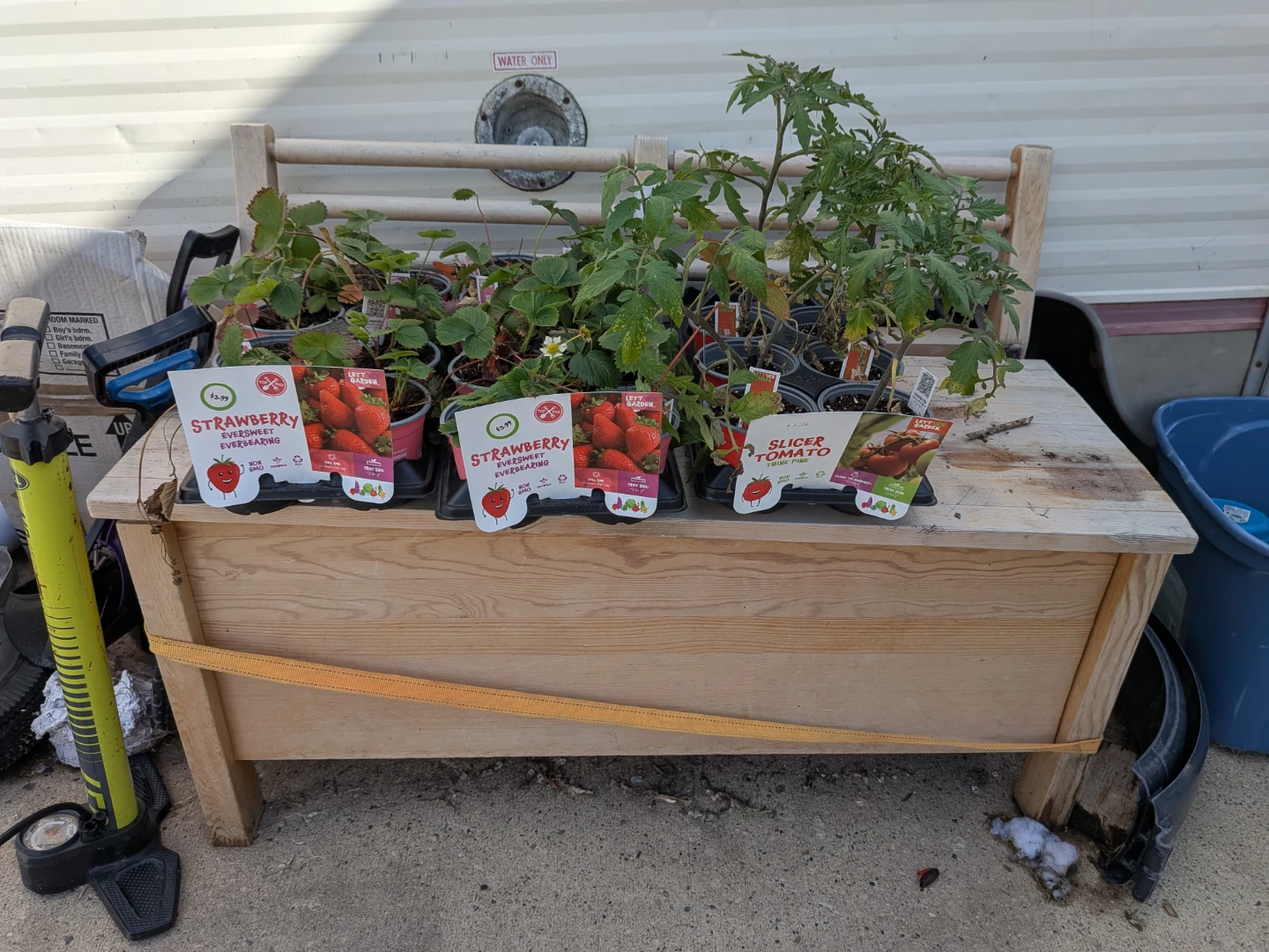 Assorted Potted Plants and Garden Supplies - photo 5