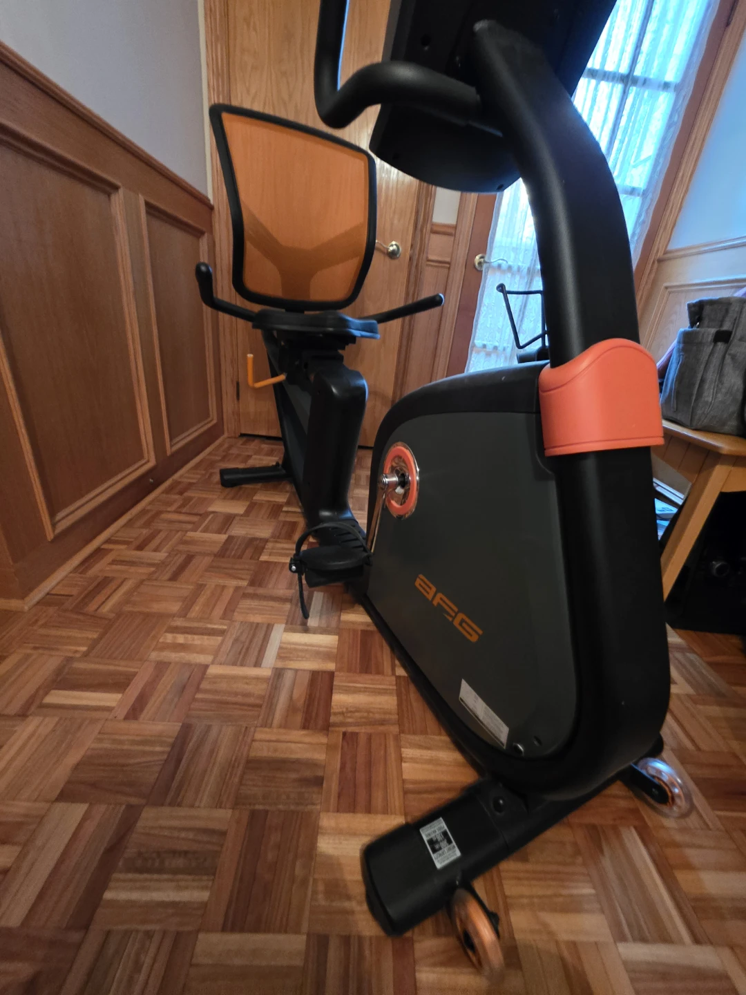 BFG 7.3AR Recumbent Exercise Bike