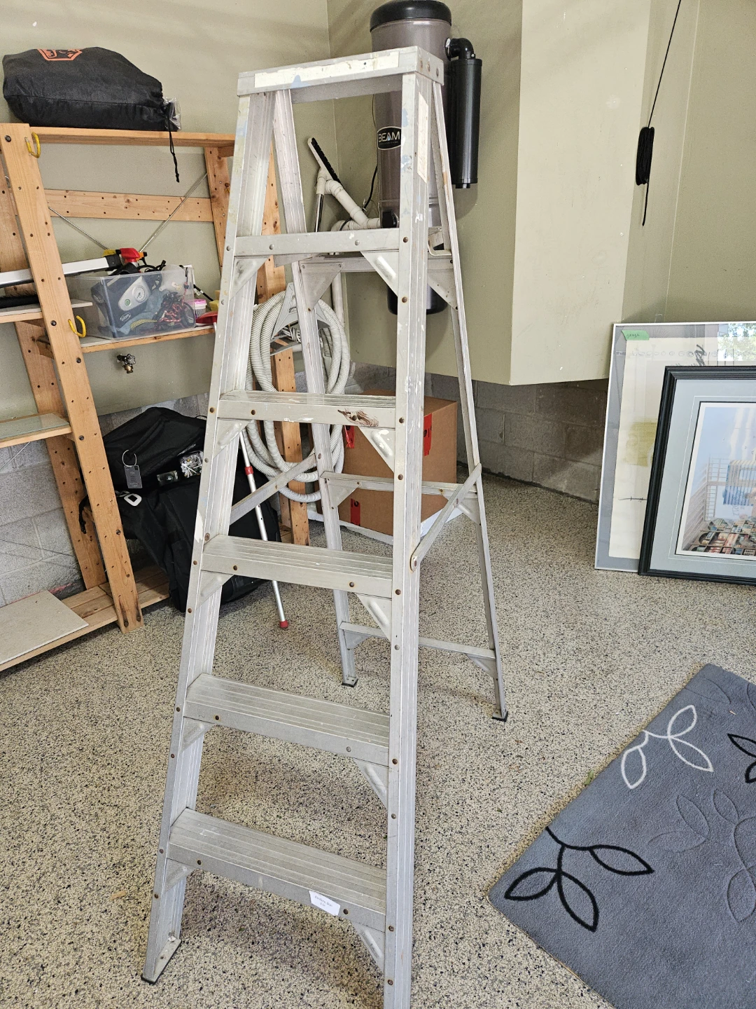Step ladder
