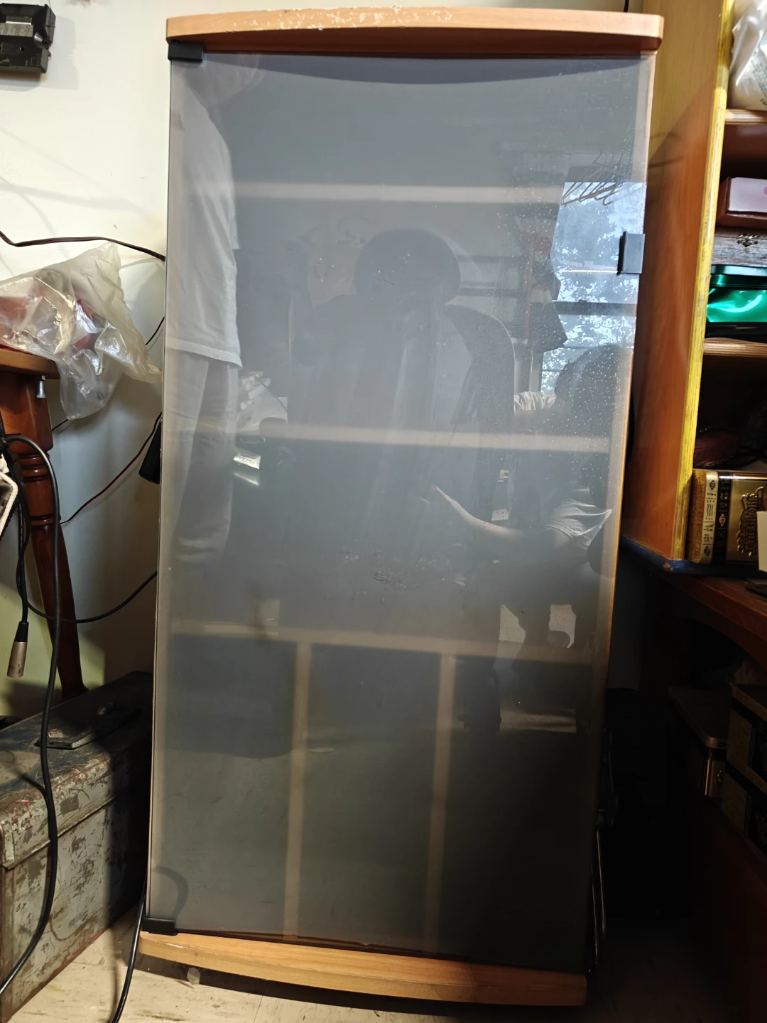 Wooden cabinet with frosted glass door