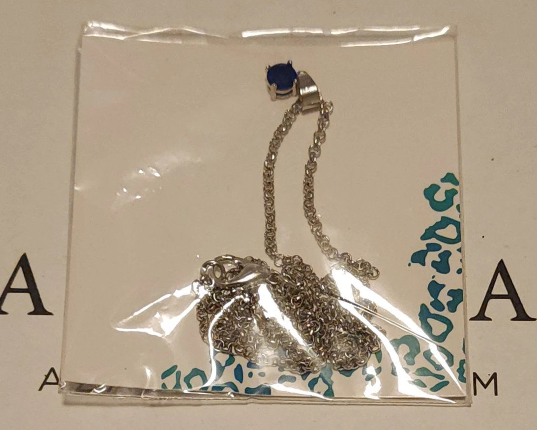EAFY Silver Necklace with Blue Stone - photo 4