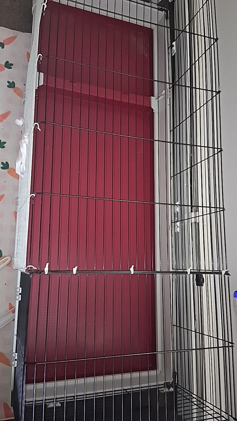 Guinea pig habitat - photo 3