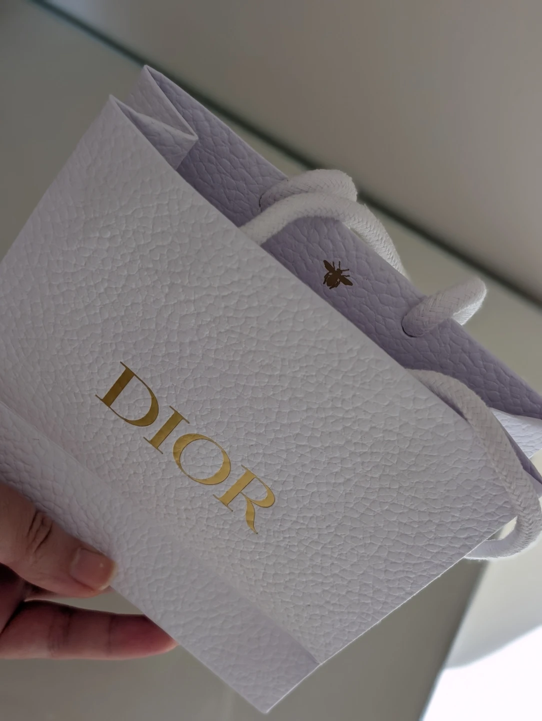 Dior Shopping Bag⚽ - photo 4