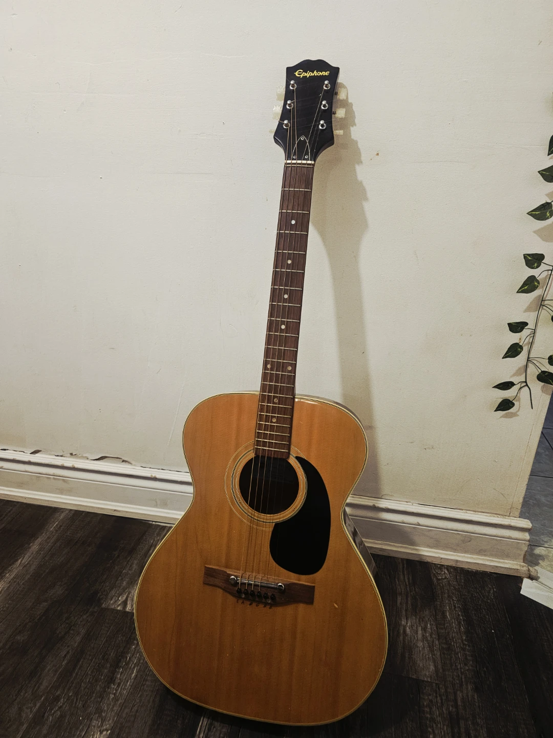 Epiphone Acoustic Guitar