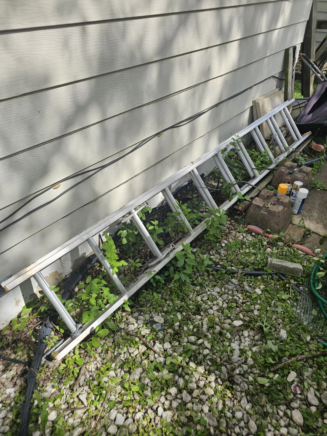 Aluminum Extension Ladder