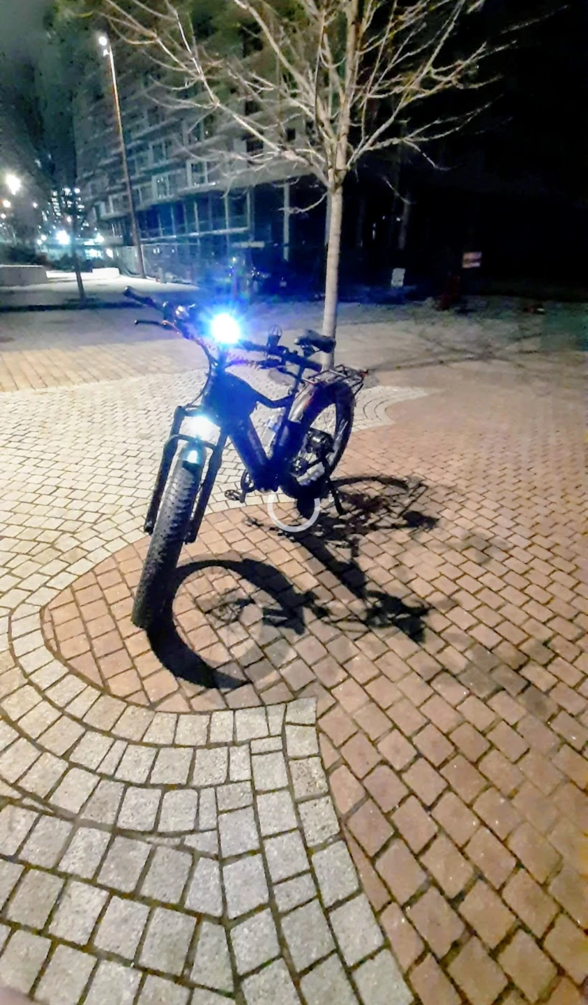 Voltbike Electric bike 750 Limited - photo 3