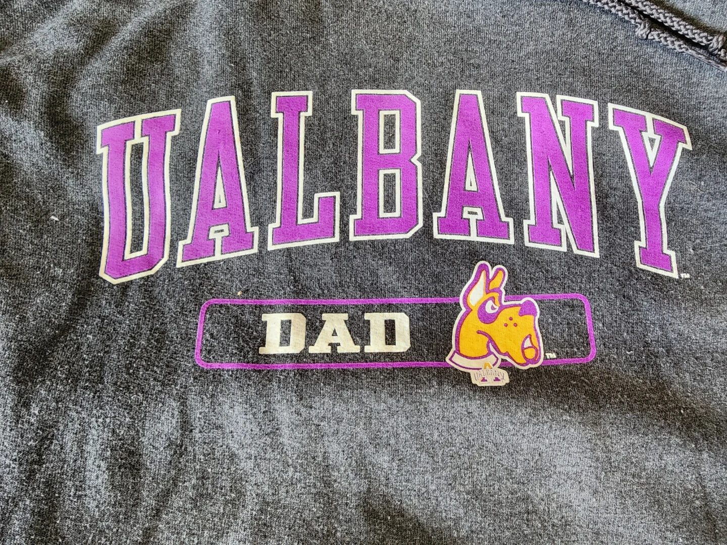 Champion Albany Dad Hoodie Sweatshirt Large Gray - photo 3
