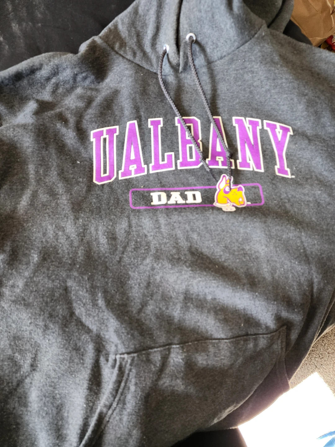 Champion Albany Dad Hoodie Sweatshirt Large Gray