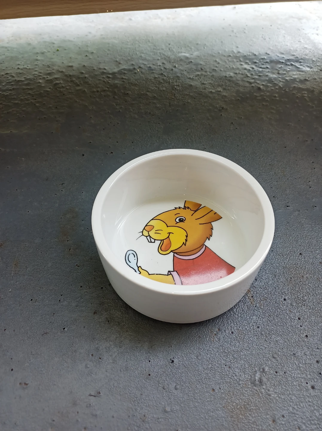Free Ceramics Pet Bowl