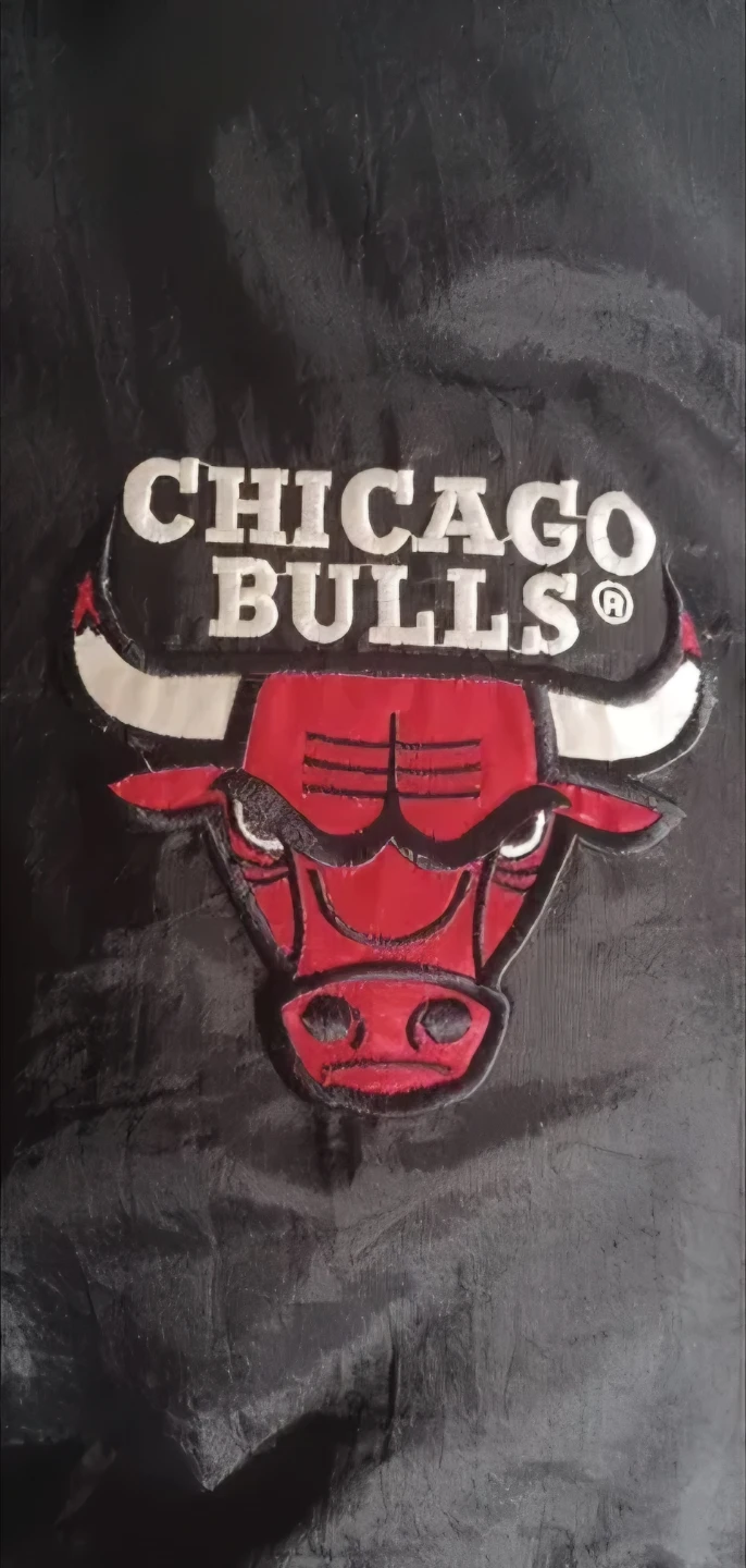 Reversible Chicago Bulls Jacket - photo 2