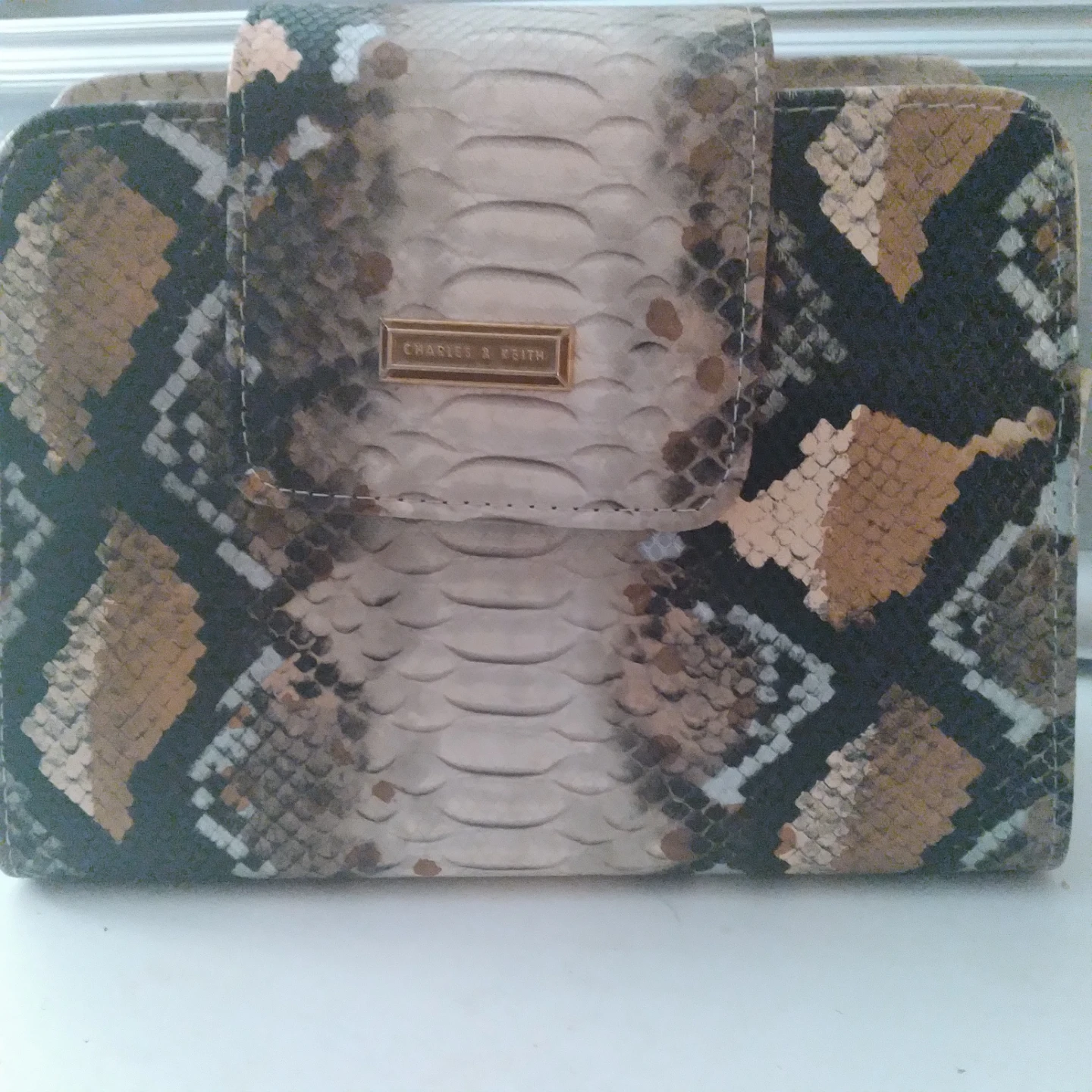 Charles & Keith Snake Print purse