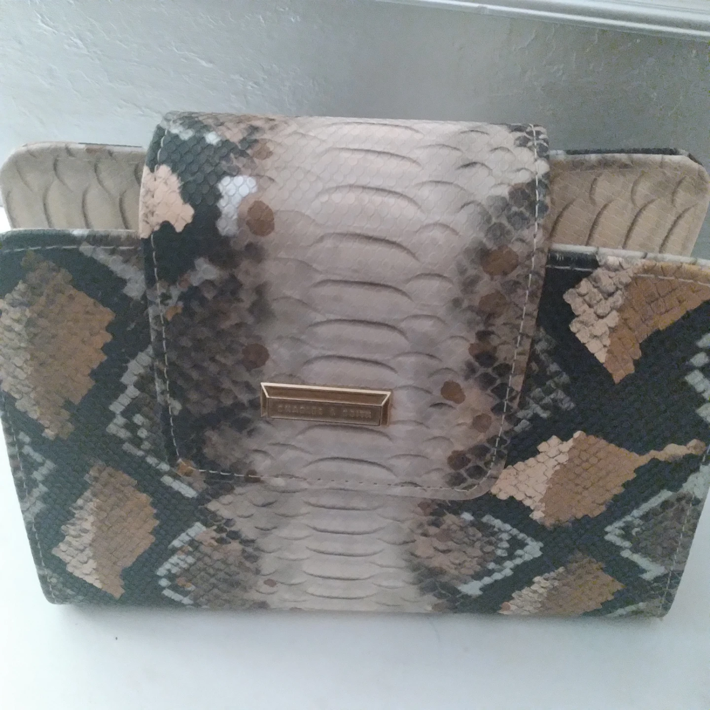 Charles & Keith Snake Print purse - photo 2