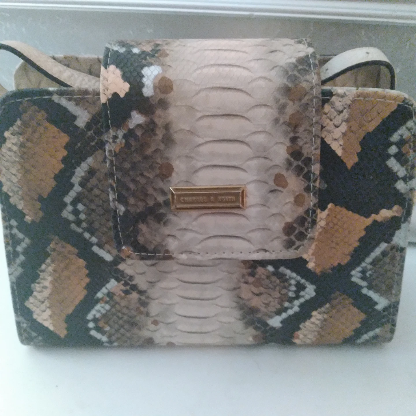 Charles & Keith Snake Print purse - photo 3